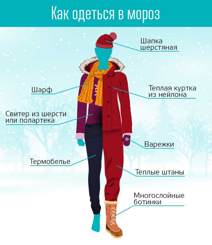 Как одеться в мороз, чтобы не замёрзнуть? Инфографика | Аргументы и Факты