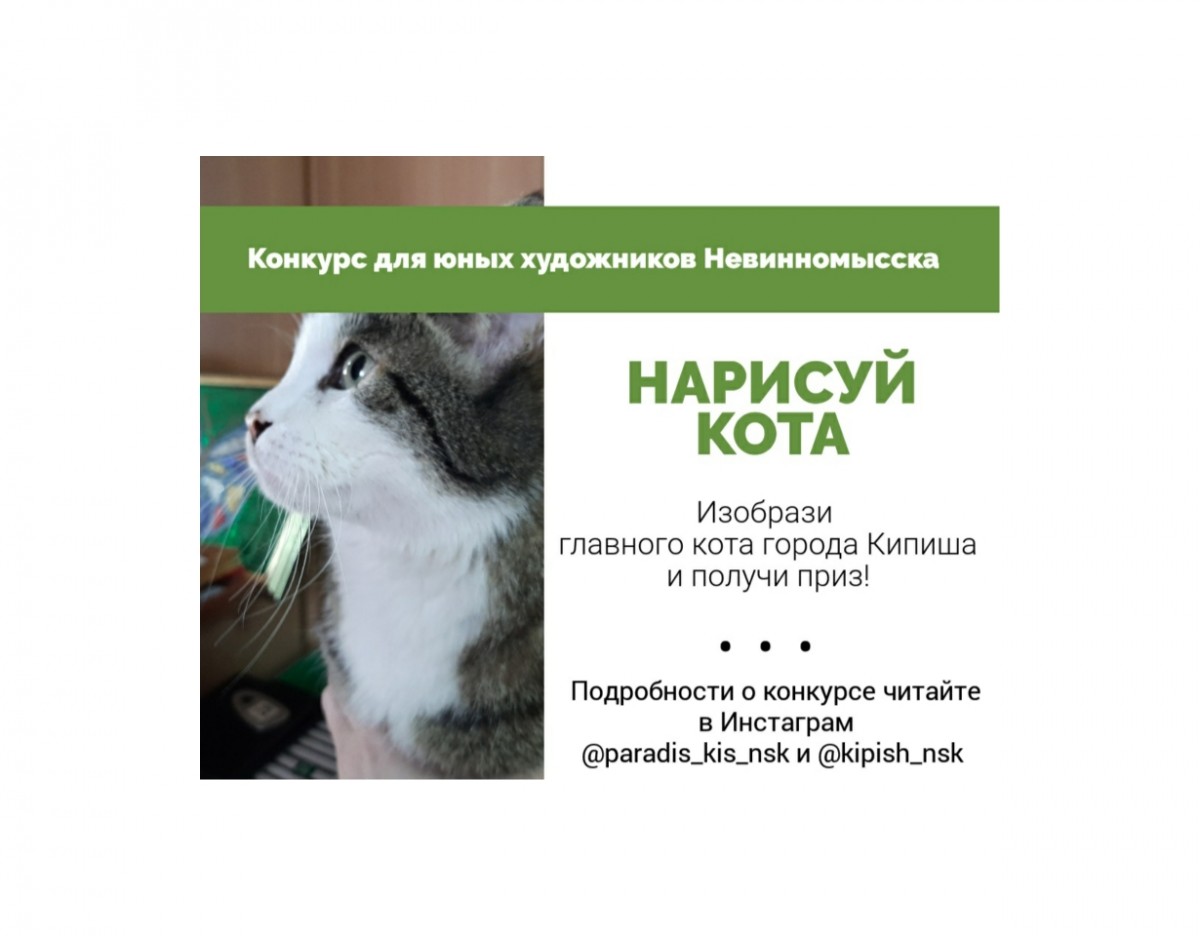 «Нарисуй кота»: в Невинномысске дети изобразят главного кота города «Нарисуй кота»: в Невинномысске дети изобразят главного кота города